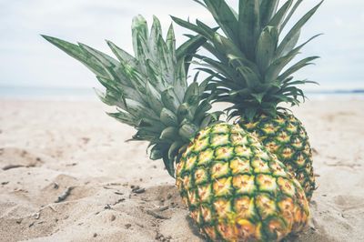 Static Site Generators Compared